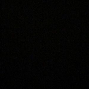 Meet your Posher, Charli